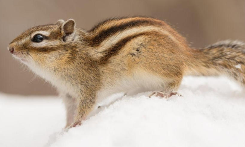 長安國際大酒店輪播圖5