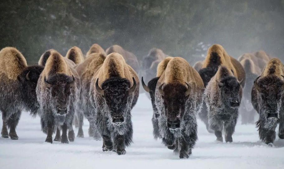 長安國際大酒店輪播圖2